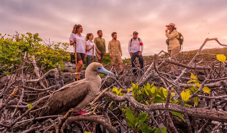 How to find the perfect match for a cruise itinerary in the Galapagos Islands for your client