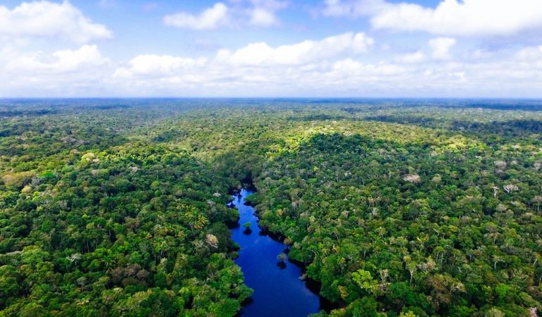 How to explore the Brazilian Amazon from 3 different perspectives?