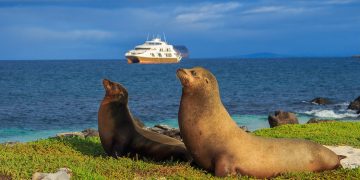 Golden Galapagos Cruises