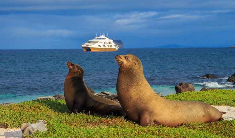 Innovation meets sustainability in Ecuador with Golden Galapagos Cruises
